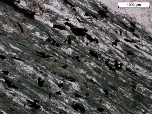 Photo 2013-298: Disseminated chalcopyrite and pyrite grains within a chlorite-actinolite-quartz-rich rock, 104 m above mineralization (plane-polarized; sample 62167;  ...