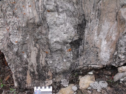 Photo 2014-056: Phlogopite-tremolite-dolomite±diopside carbonate-silicate gneiss
