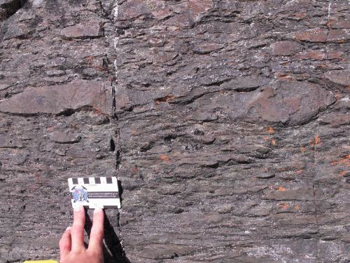 Photo 2014-057: Flattened lapilli and bombs in ultramafic-mafic schist and gneiss C