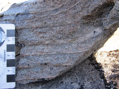 Photo 2014-060: An outcrop of psammitic and semipelitic schist showing fining-upwards beds. The arrow indicates the younging direction. This photo was taken 1.5 km  ...