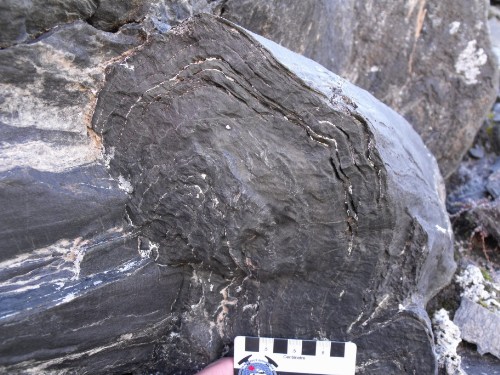 Photo 2014-062: Tight, isoclinal, and box-shaped folds (F3) of hornblende schist in the Mischief Glacier area fold the schistosity. Several layers are traced in  ...