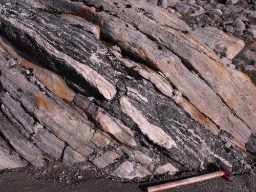 Photo 2014-063: Leucogranodiorite gneiss is cut by ultramafic-mafic hornblende gneiss in several places in the photograph. Both are part of the granitoid and  ...