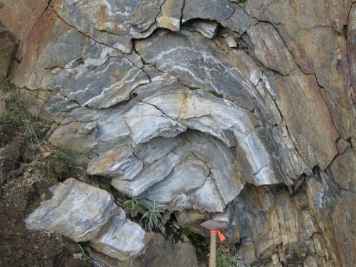 Photo 2014-109 : F3 folded pelite and psammite, Birchy Complex, north of Kidney Pond, Newfoundland and Labrador