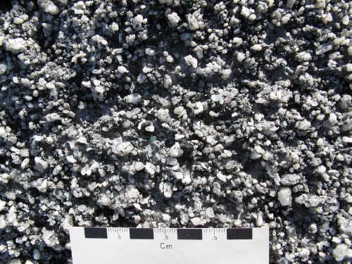 Photo 2014-220 : Diopside-phlogopite-spinel-apatite-quartz calcareous grit, Lake Harbour Group, Meta Incognita Peninsula, Baffin Island, Nunavut