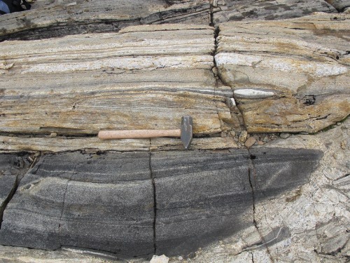 Photo 2014-223 : Layered monzogranite-diorite gneiss, crosscut by a vein of white monzogranite (in lower right corner of photograph), Meta Incognita Peninsula, Baffin  ...