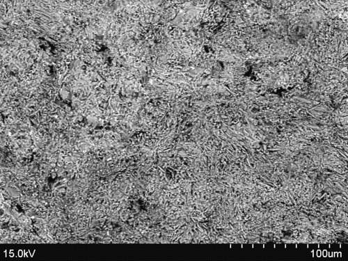 Photo 2016-023 : Tower Peak unit: (e) Back-scattered electron (BSE) image of 13-52 showing the a matted texture of the fine-grained matrix with pyroxene (bright) and  ...