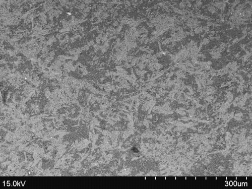 Photo 2016-027 : Tower Peak unit: (f) BSE image of sample 13-01 shows that plagioclase and pyroxene are the main phases