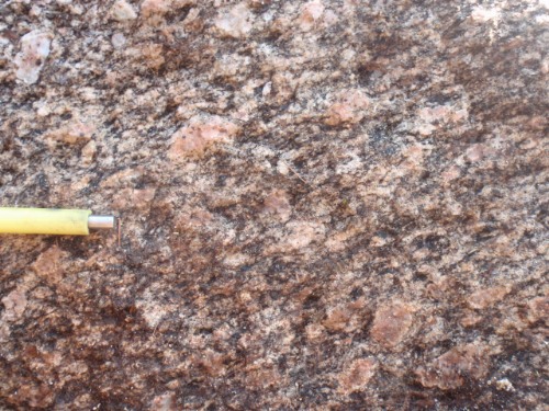 Photo 2017-087 : 15MO7075-A Boullé Complex, porphyritic monzonite; yellow pen magnet is 8 mm in diameter