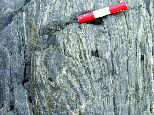Photo 2017-115 : Folded (F2) oxide-facies BIF near the Long Lake area, composed of alternating chert and magnetite (Mag) layers (S0); scale marker is 8 cm long