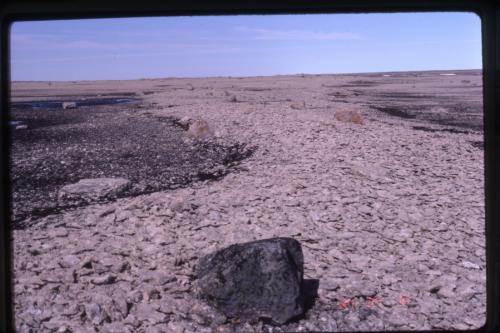 Photo 2018-200: Flaggy carbonate clasts near modern marine shoreline; glacial erratic boulders