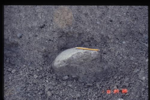 Photo 2018-239: Bullet-shape boulder in diamicton