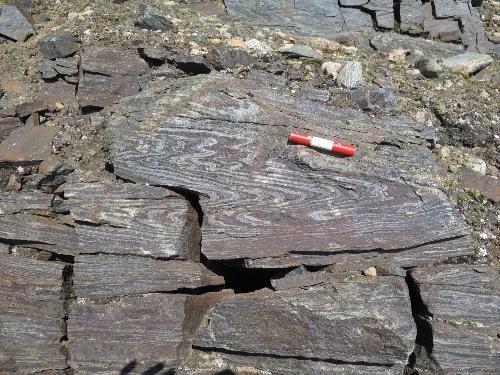 Photo 2018-334 : Recumbently folded banded iron formation, Nivallis Lake, northern edge of the Barnes Ice Cap - metal scale is 8 cm in length