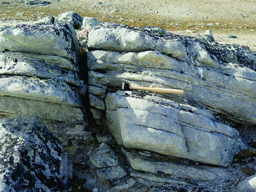 Photo 2018-347: Medium-bedded, light grey quartz sandstone (hammer for scale), Adams Sound Formation