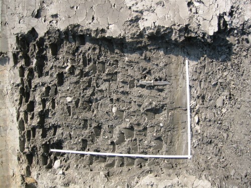 Photo 2019-288: Close-up view of till where a fabric is measured (borrow pit in the region of Zama City, northwest Alberta)