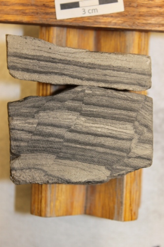 Photo 2019-294: Finely laminated sandstone and mudstones with microfaulting suggesting high sedimentation rates.