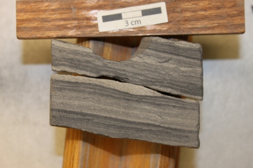 Photo 2019-295 : Laminated sandstone and siltstone/mudstone with prominent, large Helminthopsis traces (He). Black scale bars in B-E are 1 cm in length.