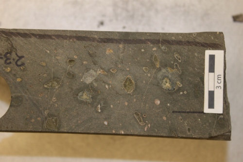 Photo 2019-297: Amygdaloidal green-brown basalt with zeolite mineral infills or partial infills.