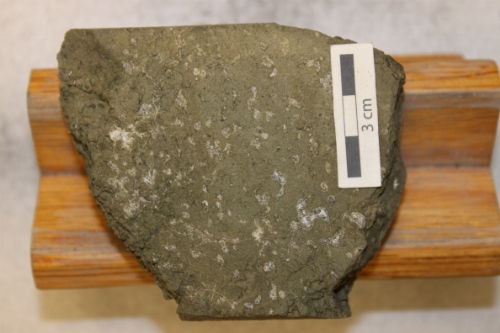 Photo 2019-299: Weathered green-brown, amygdaloidal basalt.