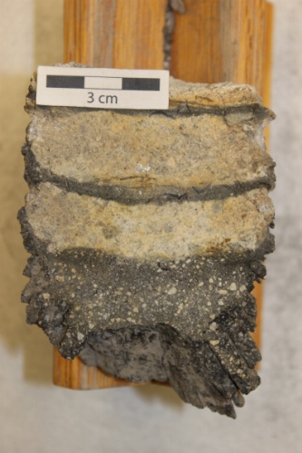 Photo 2019-307: A thick glassy unit with mineral fragments.