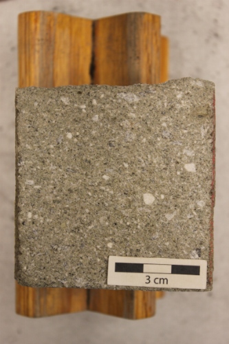 Photo 2019-322 : Granule-bearing, medium-grained sandstone.