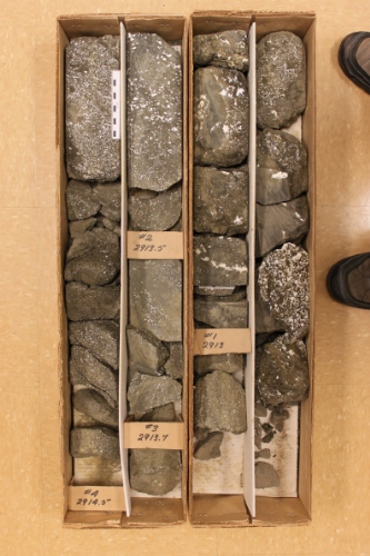 Photo 2019-340 : Photographs of core 1, Gjoa G-37 showing the entire cored interval. Scale bar is 10 cm in length.