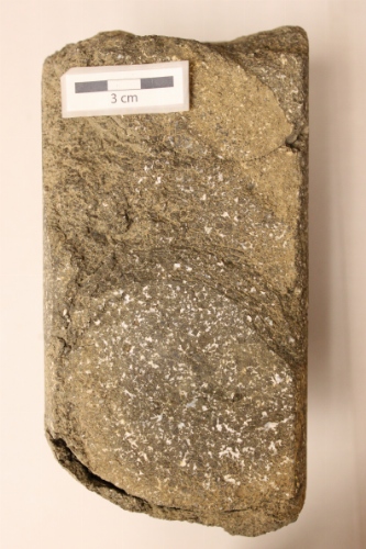 Photo 2019-345 : Concretionary appearance to the basalt (scale bar is 1 cm in length).