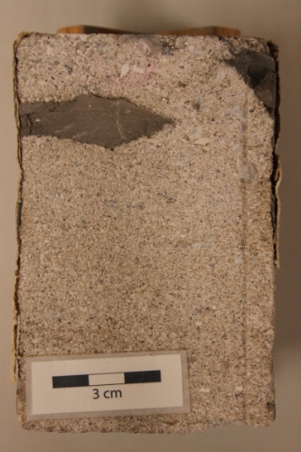 Photo 2019-350: A prominent dark grey mudstone rip-up clast.