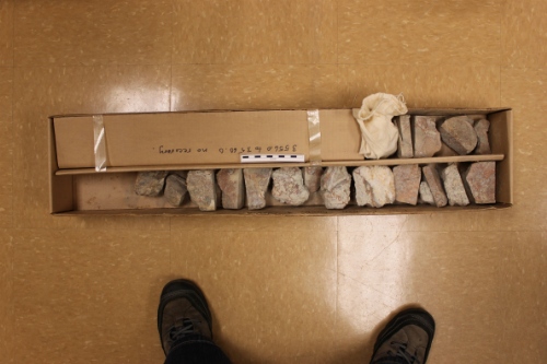 Photo 2019-355: Core box showing the entire Core 2 (scale bar is 10 cm in length).