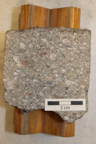 Photo 2019-372: Pebble and granule-bearing sandstone with reddish orthoclase feldspar clasts likely sourced from core 4-equivalent basement rock.