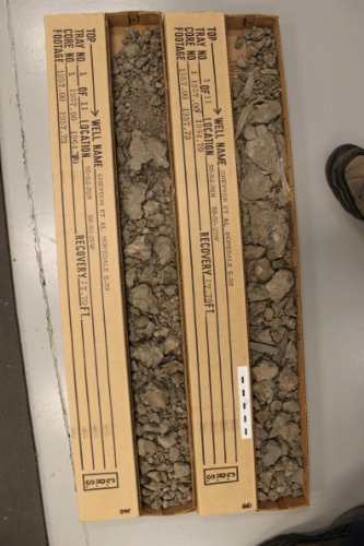 Photo 2019-388 : Photographs of core 1, Hopedale E-33. There are two boxes for every interval intended to represent the opposing slabs of the core. Scale bars are 10  ...
