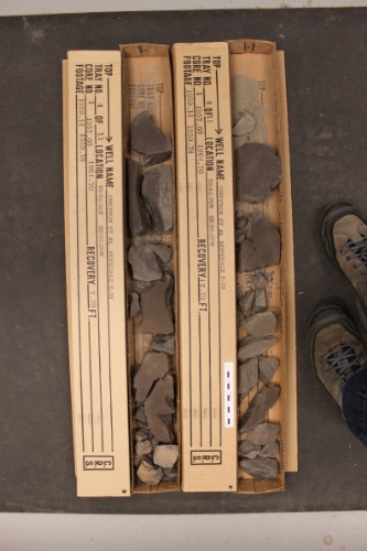 Photo 2019-391: Photographs of core 1, Hopedale E-33. There are two boxes for every interval intended to represent the opposing slabs of the core. Scale bars are 10  ...