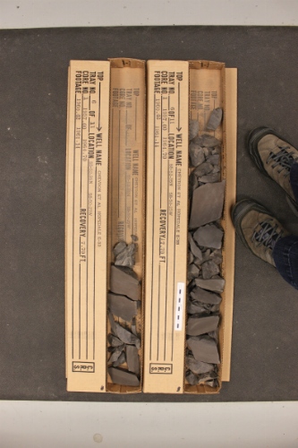 Photo 2019-393: Photographs of core 1, Hopedale E-33. There are two boxes for every interval intended to represent the opposing slabs of the core. Scale bars are 10  ...