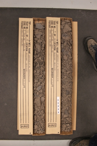 Photo 2019-394: Photographs of core 1, Hopedale E-33. There are two boxes for every interval intended to represent the opposing slabs of the core. Scale bars are 10  ...