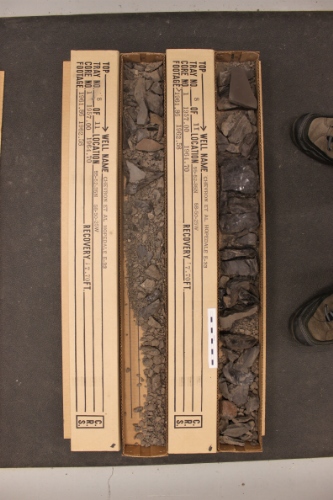 Photo 2019-395: Photographs of core 1, Hopedale E-33. There are two boxes for every interval intended to represent the opposing slabs of the core. Scale bars are 10  ...
