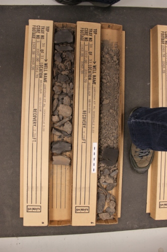 Photo 2019-397: Photographs of core 1, Hopedale E-33. There are two boxes for every interval intended to represent the opposing slabs of the core. Scale bars are 10  ...