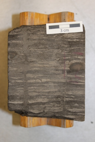 Photo 2019-413: Planar-laminated to weakly current-rippled sandstone and mudstone relatively less bioturbated than the rest of the core interval. Diplocraterion (Di)  ...