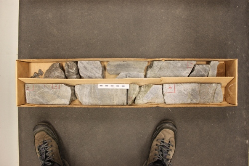 Photo 2019-414: Photographs showing the total recovered gneissic core (scale bar is 10 cm in length).