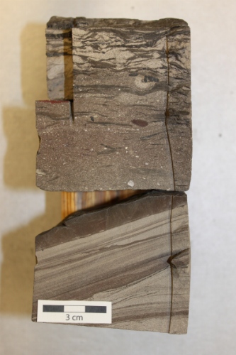 Photo 2019-423: Silty sandstone showing contrast between tabular cross-bedded sandstone and a mudstone rip-up and coal fragment-dominated massive unit.