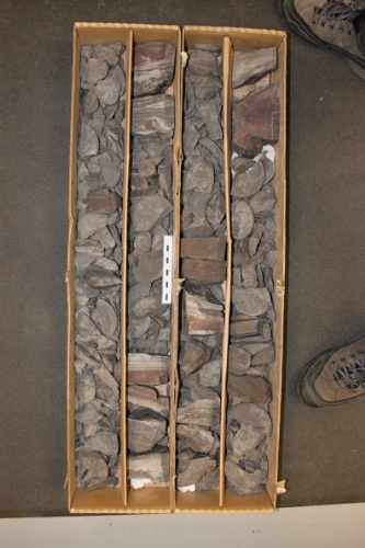 Photo 2019-430: The entire core (scale bar is 10 cm in length).