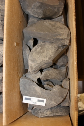 Photo 2019-435 : Typical shale comprising much of core 2.