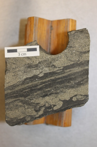 Photo 2019-446: Mudstone dominated unit with flame structures at the base and Planolites (Pl) and Chondrites (Ch).