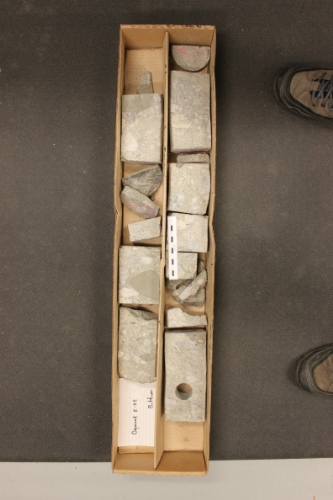 Photo 2019-448 : Core box showing highly subsampled conglomerate (scale bar is 10 cm in length).