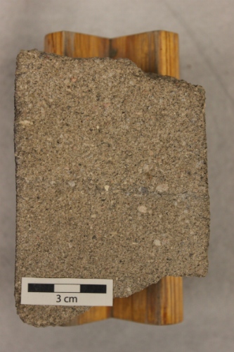 Photo 2019-459 : Coarse-grained sandstone with granules.