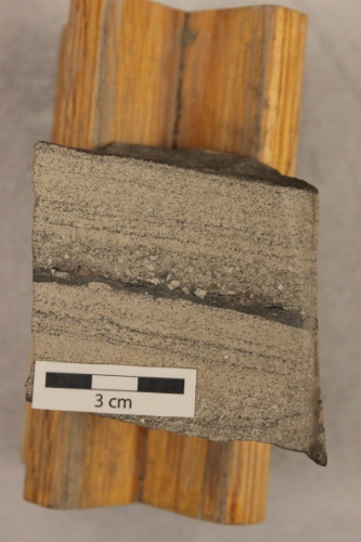 Photo 2019-460: Planar to low-angle cross-bedded, fine- to medium-grained sandstone with carbonaceous mudstone laminae and granules.