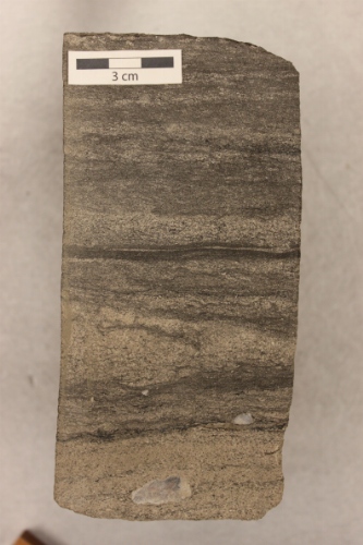 Photo 2019-463: Silty sandstone with quartzite pebbles, carbonaceous layers, and Helminthopsis (He) traces.