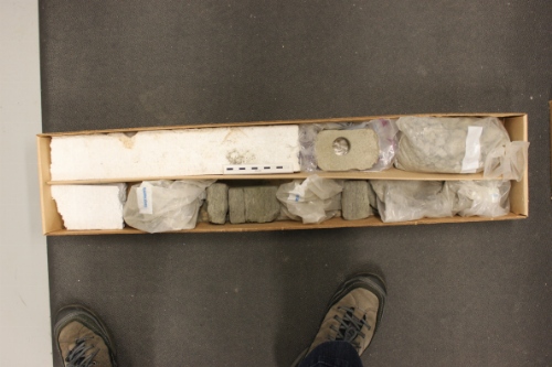 Photo 2019-480: The core box for core 4 showing missing core and bags of rubbly core. Scale bar is 10 cm in length.