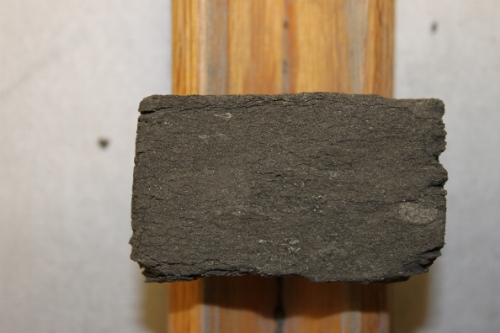 Photo 2019-486: Photographs of core 5, Skolp E-07 showing the homogeneous sandy mudstone with trace fossils, including Rhizocorallium (Rh), Schaubcylindrichnus (Sc),  ...