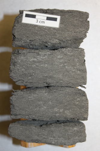 Photo 2019-487 : Photographs of core 5, Skolp E-07 showing the homogeneous sandy mudstone with trace fossils, including Rhizocorallium (Rh), Schaubcylindrichnus (Sc),  ...
