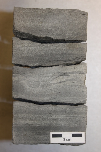 Photo 2019-494: The fine-grained facies with current ripple-cross lamination and a possible wave ripple in the center of the core.