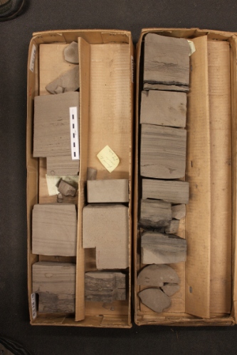 Photo 2019-499: Photographs of core 1, Snorri J-90. Scale bars are 10 cm in length.